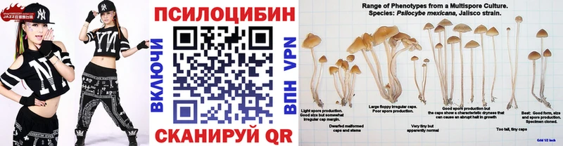 как найти наркотики  Серпухов  Галлюциногенные грибы Psilocybe 